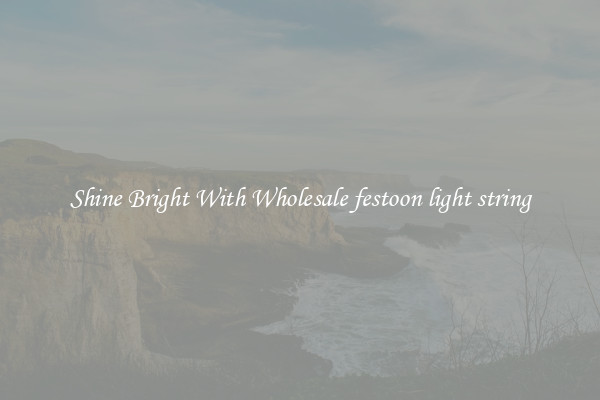 Shine Bright With Wholesale festoon light string