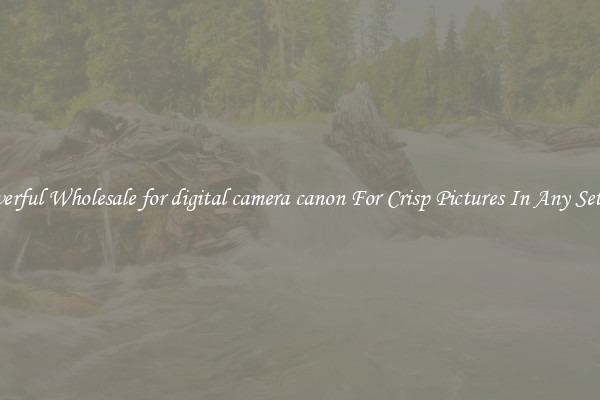 Powerful Wholesale for digital camera canon For Crisp Pictures In Any Setting