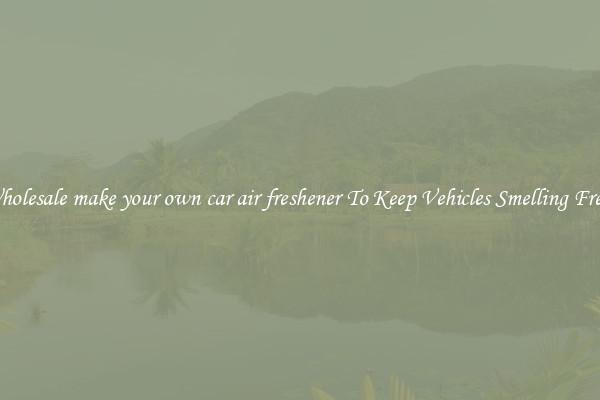 Wholesale make your own car air freshener To Keep Vehicles Smelling Fresh