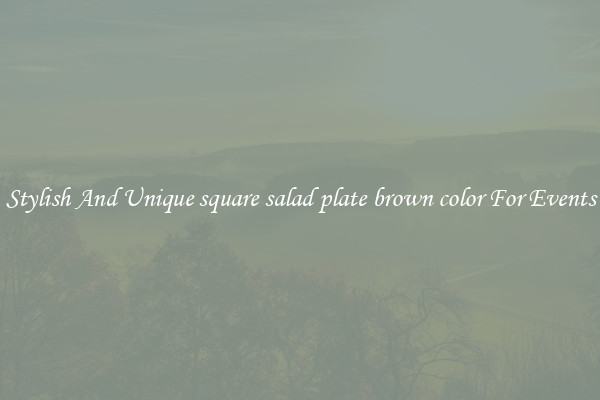 Stylish And Unique square salad plate brown color For Events