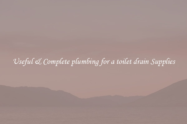 Useful & Complete plumbing for a toilet drain Supplies