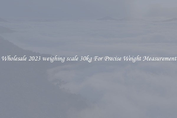 Wholesale 2023 weighing scale 30kg For Precise Weight Measurement