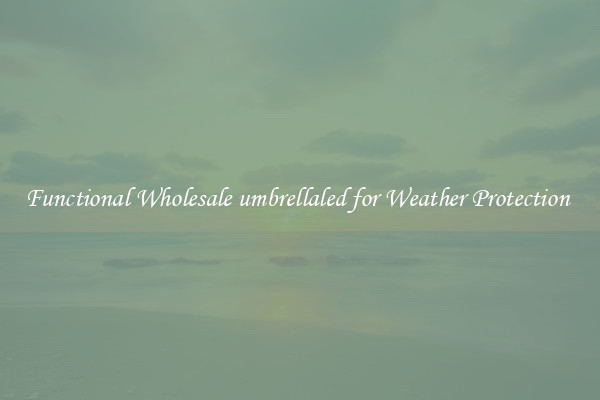Functional Wholesale umbrellaled for Weather Protection 