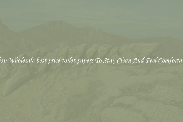 Shop Wholesale best price toilet papers To Stay Clean And Feel Comfortable