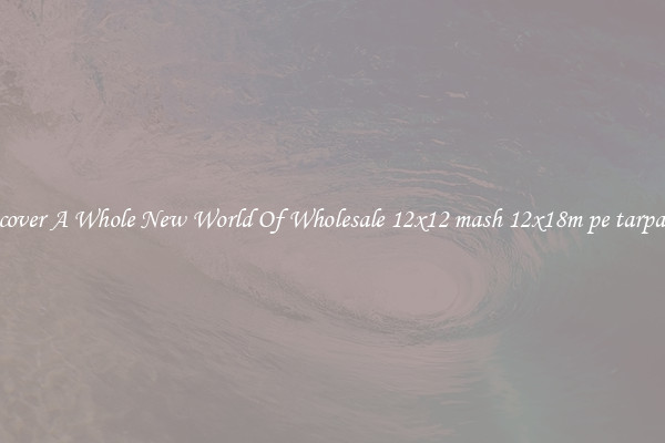 Discover A Whole New World Of Wholesale 12x12 mash 12x18m pe tarpaulin