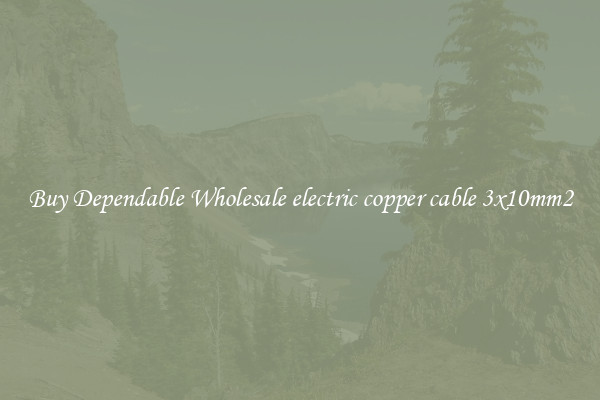 Buy Dependable Wholesale electric copper cable 3x10mm2