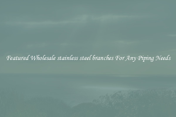 Featured Wholesale stainless steel branches For Any Piping Needs
