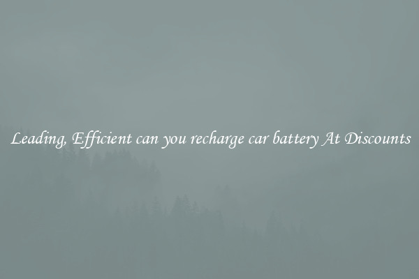 Leading, Efficient can you recharge car battery At Discounts
