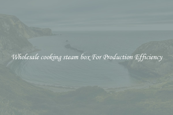 Wholesale cooking steam box For Production Efficiency
