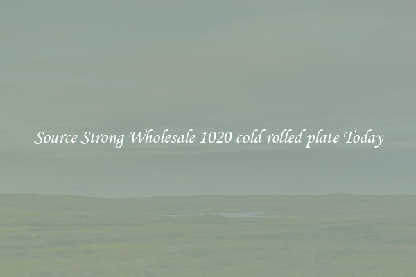 Source Strong Wholesale 1020 cold rolled plate Today