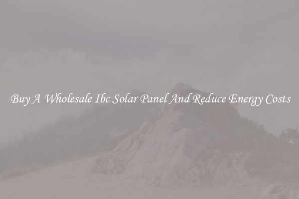 Buy A Wholesale Ibc Solar Panel And Reduce Energy Costs
