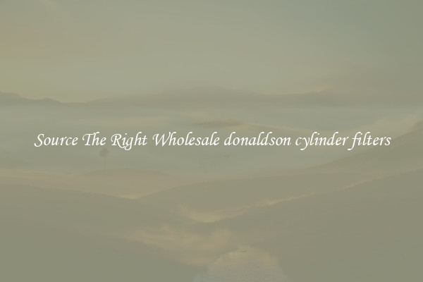 Source The Right Wholesale donaldson cylinder filters