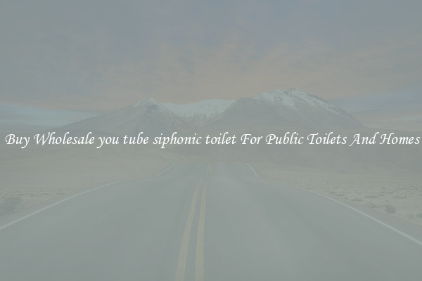 Buy Wholesale you tube siphonic toilet For Public Toilets And Homes