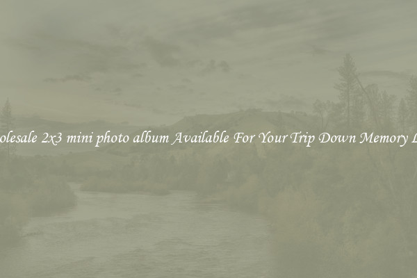 Wholesale 2x3 mini photo album Available For Your Trip Down Memory Lane
