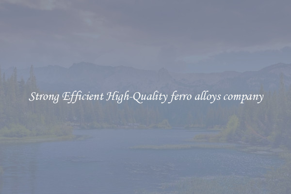 Strong Efficient High-Quality ferro alloys company