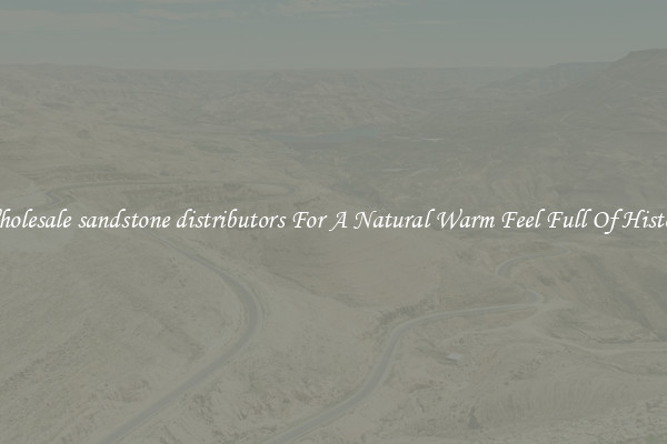 Wholesale sandstone distributors For A Natural Warm Feel Full Of History