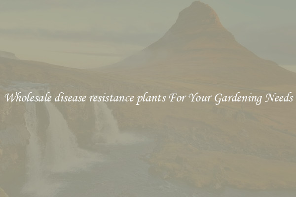Wholesale disease resistance plants For Your Gardening Needs