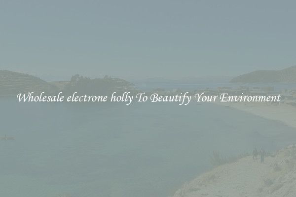 Wholesale electrone holly To Beautify Your Environment