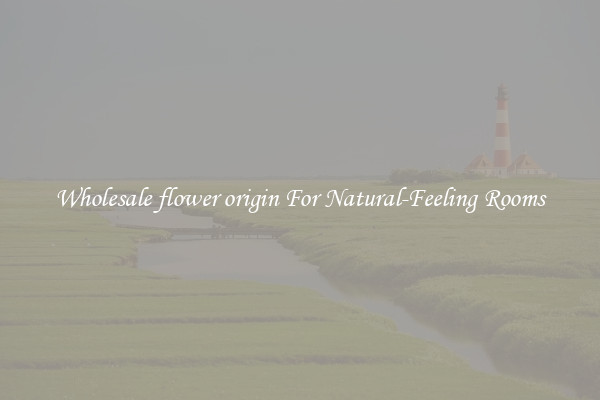 Wholesale flower origin For Natural-Feeling Rooms