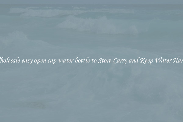 Wholesale easy open cap water bottle to Store Carry and Keep Water Handy