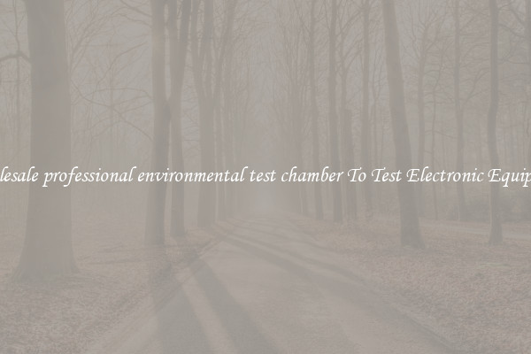 Wholesale professional environmental test chamber To Test Electronic Equipment