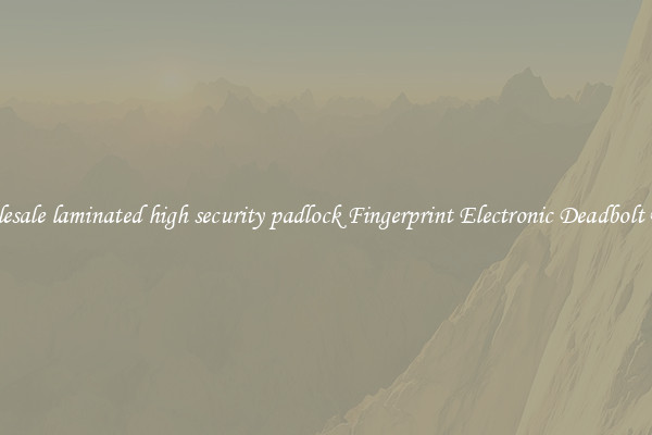 Wholesale laminated high security padlock Fingerprint Electronic Deadbolt Door 